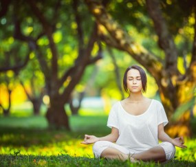 世界杯买球网址-莱万擎旗，波兰铁骑绝唱；仙人掌军团，主场荆棘征途